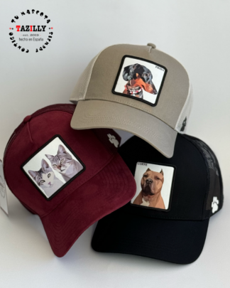 GORRAS TRUCKER