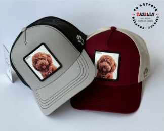 OFERTA 2 GORRAS